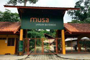 Museu da Amazônia (MUSA)