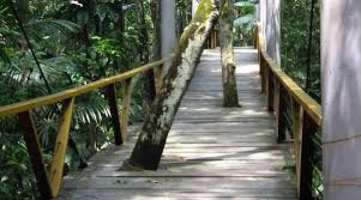 Parque Municipal do Mindu